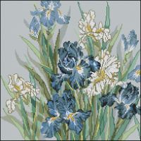 Candamar 30926 - Oriental Iris