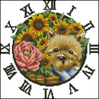 DOME_261016 Puppy in the flowers