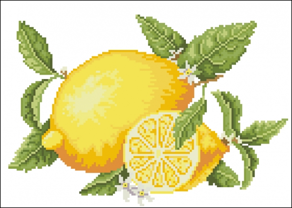 dmc-lemon
